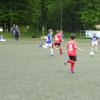 TSV Jugendturnier 2017